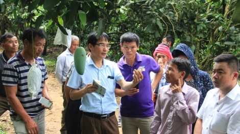 Ngon tô thứ 3 mự 13 căm bườn 5 pì 2025- Côn dệt khoà học pọm cắp po hay me na dệt pền mua nham khảu mạk mák pôi