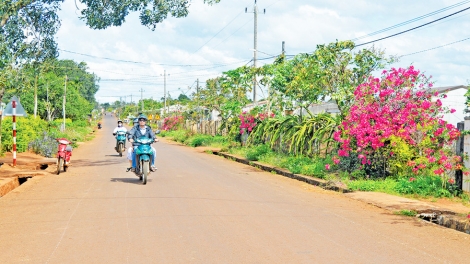 Pơlei O Ngol: Tơring tơrang 'nao tơguăt hăm vei răk tơƀăk mong joh ayŏ Jarai