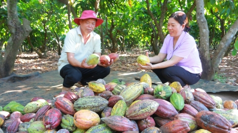 Ka kao Dak Lăk tơgĕch rơvơn hơmet pơ ‘lơ̆ng păng atŏk tơ iung