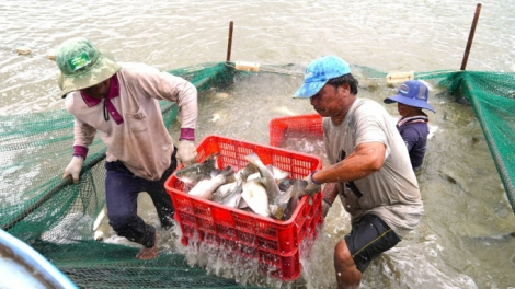 RAHRA URANG NGAK NONG GAH PEI NEGAR MEK JIEN TY MENG BRUK RAONG IKAN CHẼM