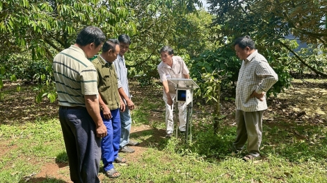Kon pơlei Đắk Lắk yak mơ̆t lơ̆m chăl kơsô̆