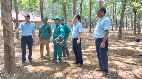 Kpuih HMin  - “kơpeăng kŏng mêa” tung cheăng kúa chhá kơxu