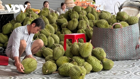 ពត៌មាន ម៉ោង ១៥
