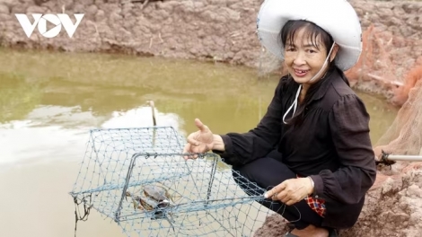 ពត៌មាន ម៉ោង ១៥