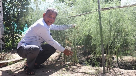 NINH THUAN NGAK RILO DANAK DAK JHUL PATAGOK BHUM URANG BANGSA CAM