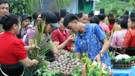 Ngon tô thứ 3 mự 17 căm bườn 6 pì 2025 – Sơn La dệt xằng vạy khài đảy tẹt tiêng mák nuối chính mua