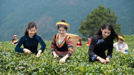 SLẢNH THÁI NGUYÊN LỒNG LÈNG SLON NGHỂ HẨƯ PỈ NOỌNG DÂN TỘC NỌI CẦN 