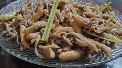 Pơmou ja – 'lơ̆ng kăp gĭt kơ bri kông Tây Nguyên