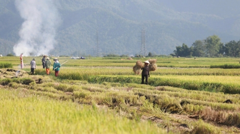 Chường trình phát thanh thứ 4 mự 04 căm bườn 6 pì 2025