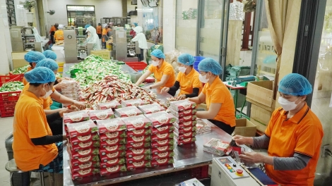 QUẢNG NAM VÊY 546 PR’ĐƯƠI OCOP TƠỢ 3-5 SAO