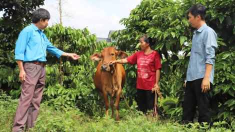 Knhuang nao kbưi hlăm bruă bi brŏ ƀun lu tĭng ti Dak Nông