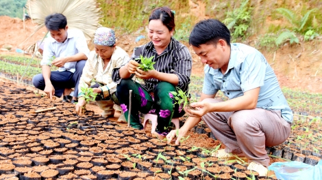 BẮC QUANG: CHI BỘ HẾT ĐÂY, ĐẢNG MẮN RÈNG, PỈ NOỌNG SLỨN SLIM