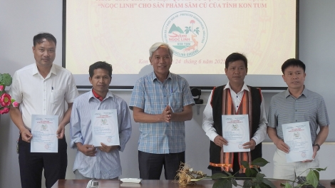 Kon Tum ăm inâi tơnêi tíu “Ngọc Linh” tơmeăm pôm sâm