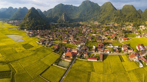 CHÚC ĐẠI HỘI ĐẢNG
