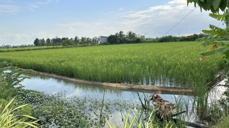 ស្ដារជីវភាពរស់នៅប្រកបដោយចីរភាពនៅតំបន់ដីព្រៃ។