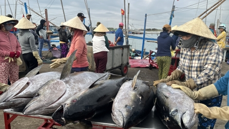 Ƀon lan lơh joi ka Dak Lak wơt nău lap bôk năm