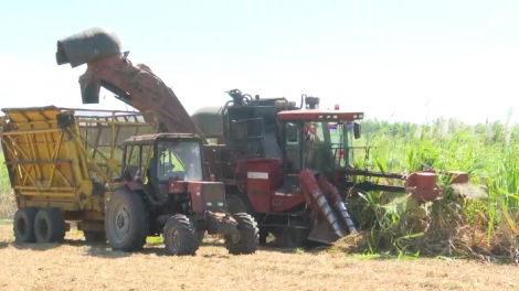 Cau lơh broă sa tam tàu Gia Lai chờ hờp kơnờm geh tơnhàu, geh giă 