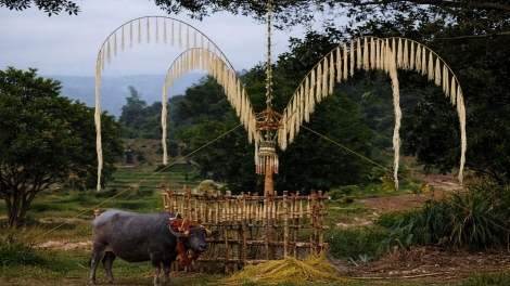 Jơnau yal yau kòn cau K' Ho: "Mbơh tài geh Lơh yàng sa rơpu kòn cau K’Ho dê"