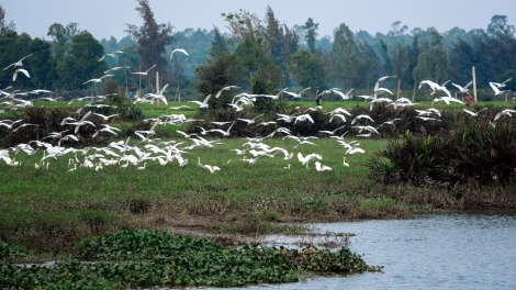 Mpồl klàng kò 