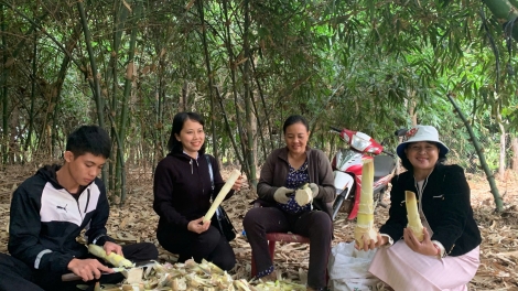 Nău dơi hun hao wăng sa nđir bâh tơm gle ta nkual neh kro phang Đăk Lăk.