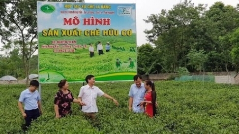 BH’NƠƠN PR’ĐƯƠI HA RÊÊ ĐHUÔCH THÁI NGUYÊN PA DƯR LIÊM CHOOM 