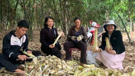 Sức bật từ cơ sở: Người dân chủ động vươn lên, cán bộ nỗ lực "gánh việc"
