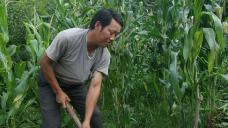 Akaok palei urang Mông megru ngak kaya meda