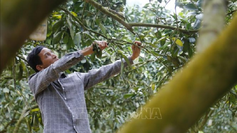 Mach ar  ngak kaya meda di urang bangsa Dao Lý Phúc Hưng