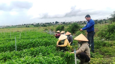 Padang mbang ngui jak jeng meng bruk pambuak gauk pablei kaya nong