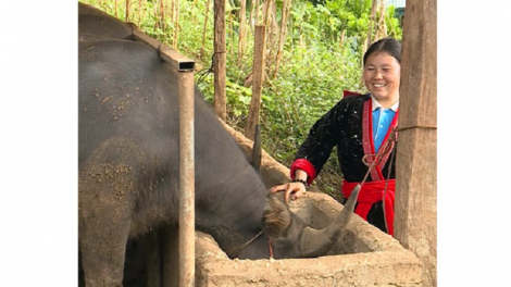 Urang kumei đảng viên bangsa H’Mông ngak mbang naih joi