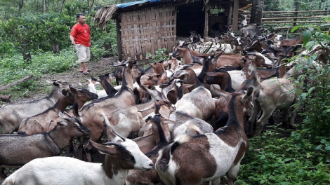 Chaoz tho zùng puônz ziêm Ninh Thuận thuất paz pung