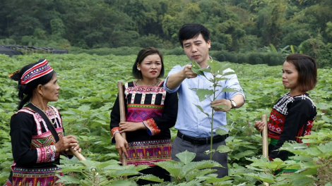 Pầu hang nhiếu miền nhây quyền tzấu hiàng thzun quýa tzuống kếu mải thzìa đổ