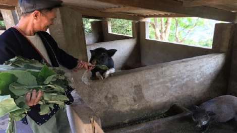 Miền zúng úi chà đảng bùng tangz chuôngz, tangz xia pun tào sanh thóng tồng há