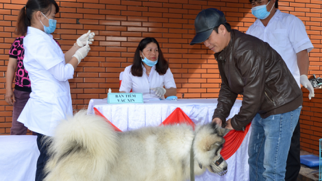 Phênhv đas jos thiêz siv nênhx hnuz 10-4-2019