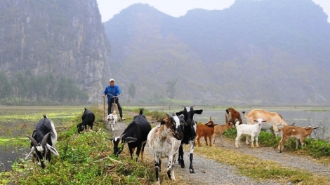 Người nghèo Ninh Bình vươn lên nhờ nguồn quỹ hỗ trợ