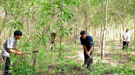 Dân tích cực giữ rừng khi được nhận tiền chi trả dịch vụ môi trường rừng