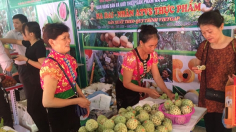 Vùng cao mong muốn liên kết thị trường