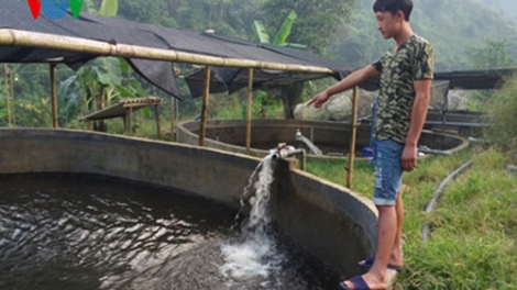 Lào Cai: nuôi cá nước lạnh thu 30 tỷ đồng mỗi năm