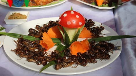 Người Thái chế nhiều món ăn đặc biệt từ côn trùng