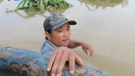 Bình Thuận: Lũ tiếp tục uy hiếp vùng thanh long trọng điểm