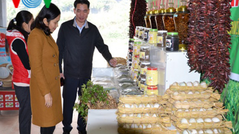Khai trương chợ nông sản đặc hữu đầu tiên của tỉnh Lào Cai