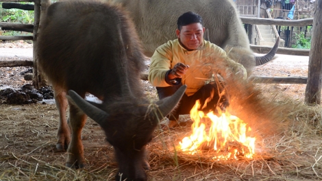 Tập trung chống rét cho gia súc tại các vùng núi cao