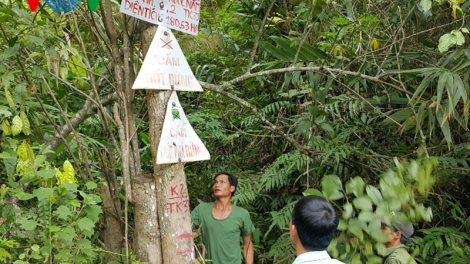 Kon Tum: Chính sách chi trả dịch vụ môi trường rừng phát huy hiệu quả