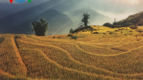 Giới thiệu 150 bức ảnh về vẻ đẹp thiên nhiên đất nước, con người Việt Nam