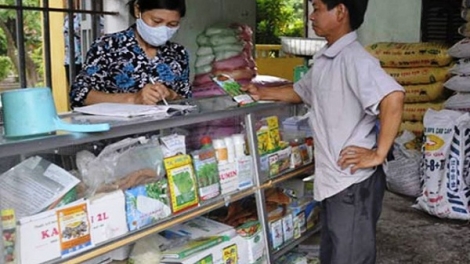 Chỉ 40% cơ sở đủ điều kiện kinh doanh thuốc bảo vệ thực vật tại Sơn La