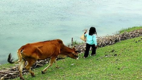 Bé gái Ê đê mồ côi đuối nước khi đi chăn bò​