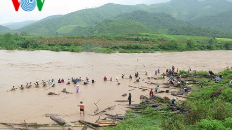 Người dân Điện Biên bất chấp lũ dữ vớt củi trên sông suối