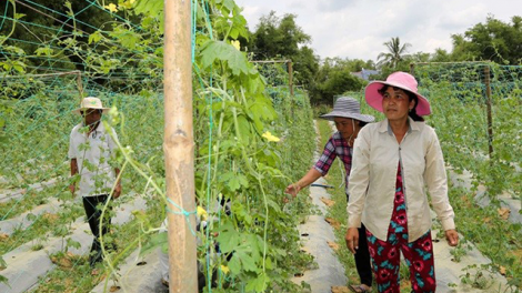 Tín dụng chính sách - Cú huých giúp Tập Sơn giảm nghèo