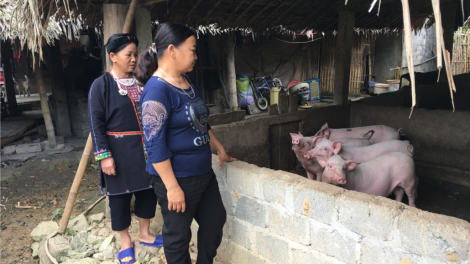 Quỹ Hỗ trợ phụ nữ phát triển Tuyên Quang- Trao cần câu cho phụ nữ kịp thời