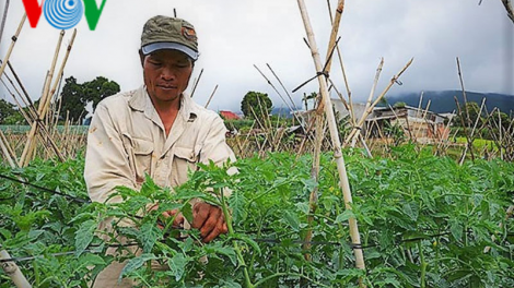 Lâm Đồng tăng cường hỗ trợ người dân giảm nghèo bền vững